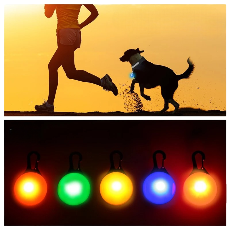 🐕 10 Essential Reasons to Walk Your Dog Every Day