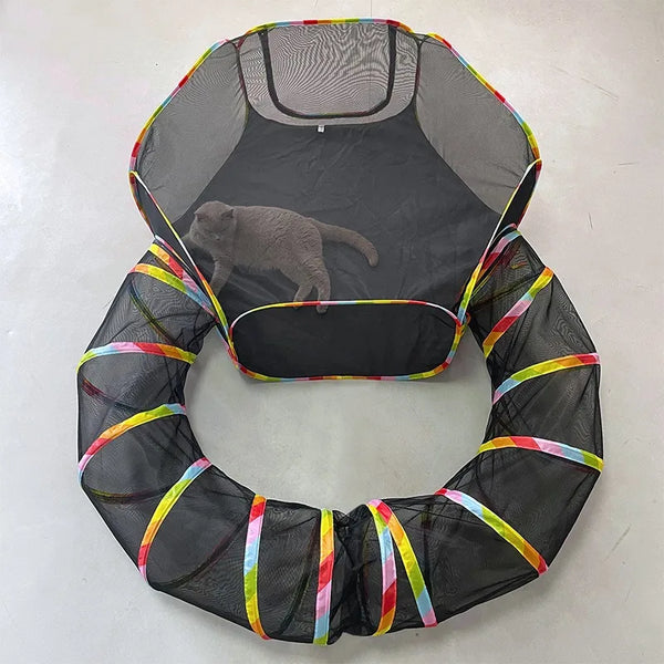 Feline Fun Tunnel Adventure