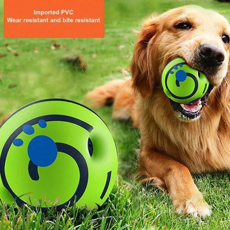 Pet Dog Ball Interactive