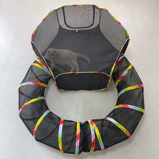 Feline Fun Tunnel Adventure