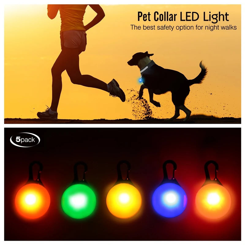 Night Glow Dog Collar