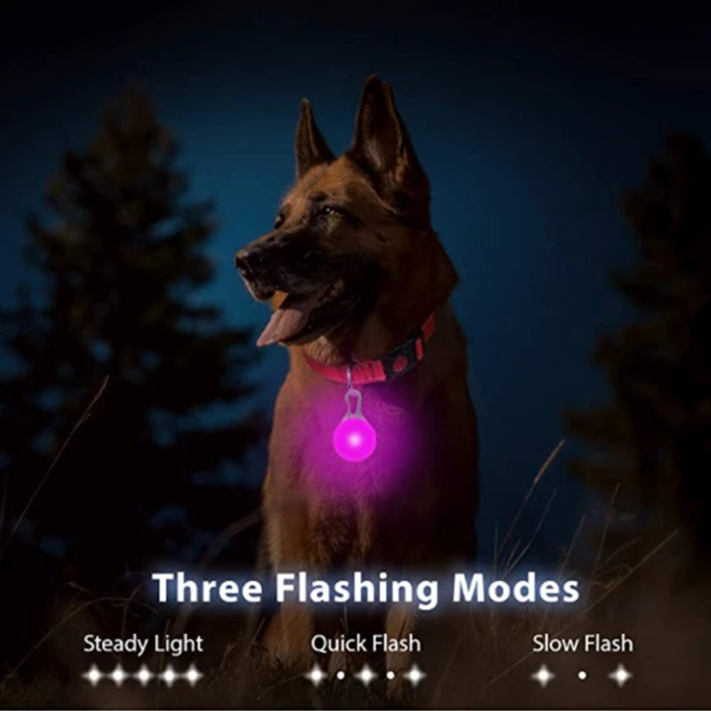 Night Glow Dog Collar
