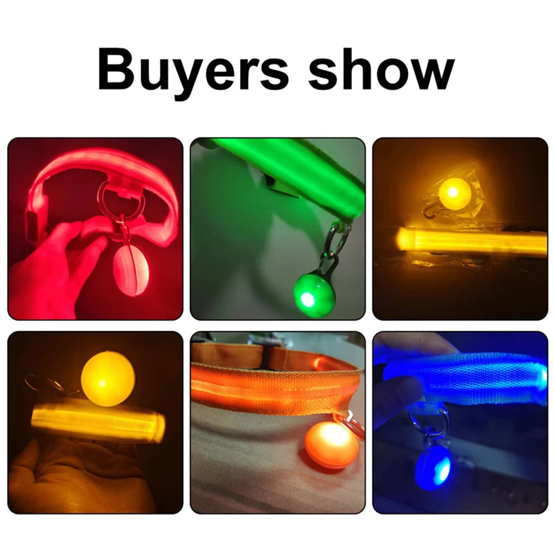 Night Glow Dog Collar