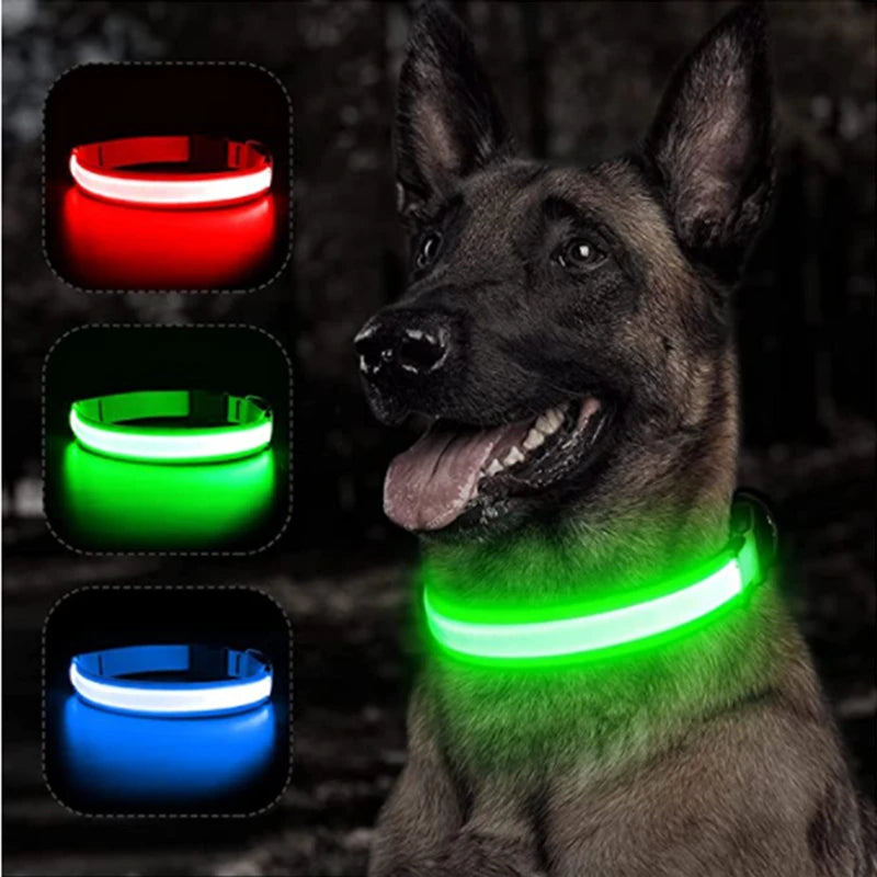 Night Glow Dog Collar